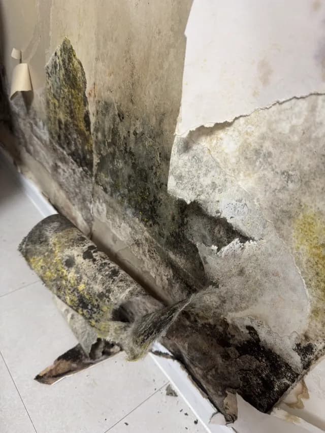 부평 방 벽면 곰팡이 시공 전